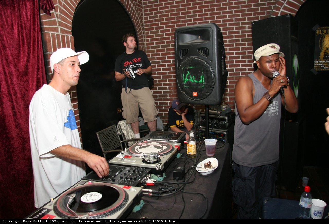 Musical Entertainment at a Party