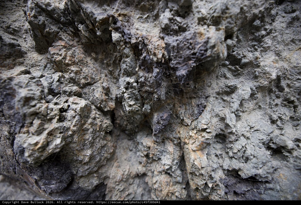 Ancient Weathered Limestone Rock Face Close-Up