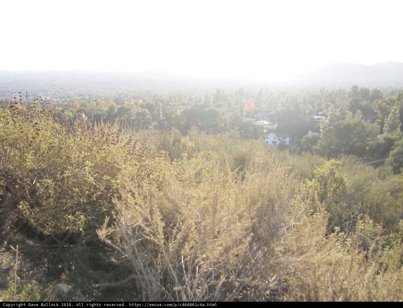 Misty Wilderness View