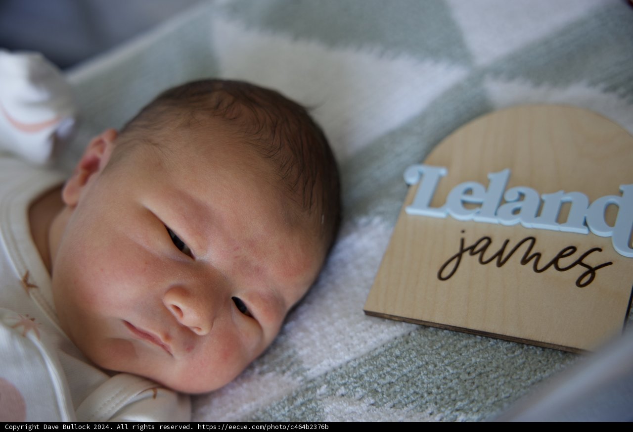 Welcome to the World, Leland James