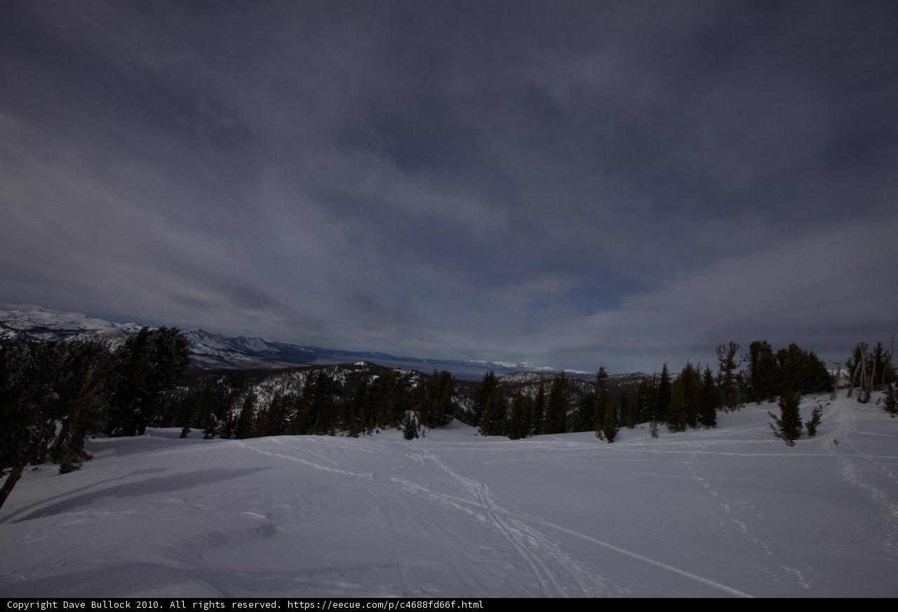 Winter Wonderland
