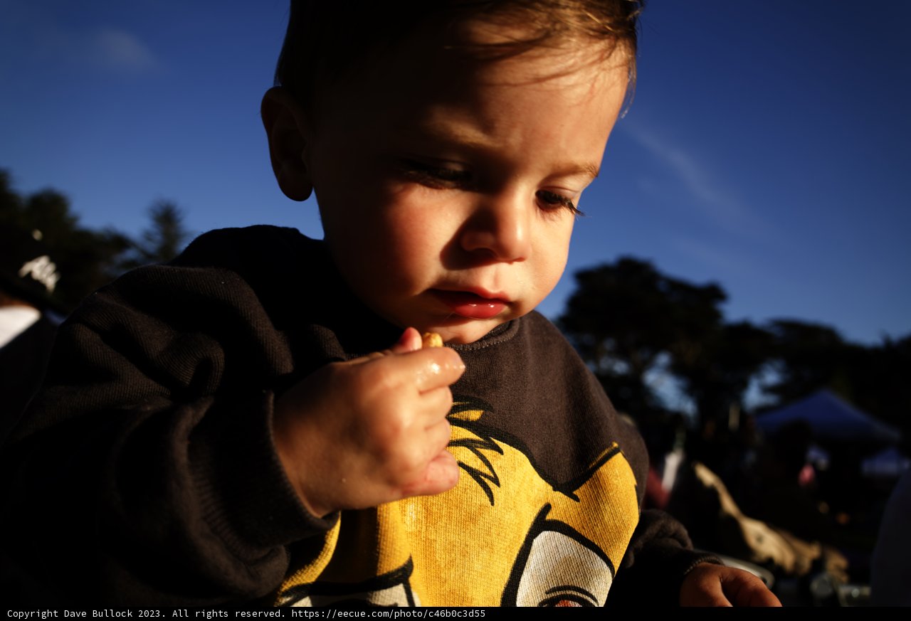A Bite of Summer: Young Boy Enjoying a Hotdog