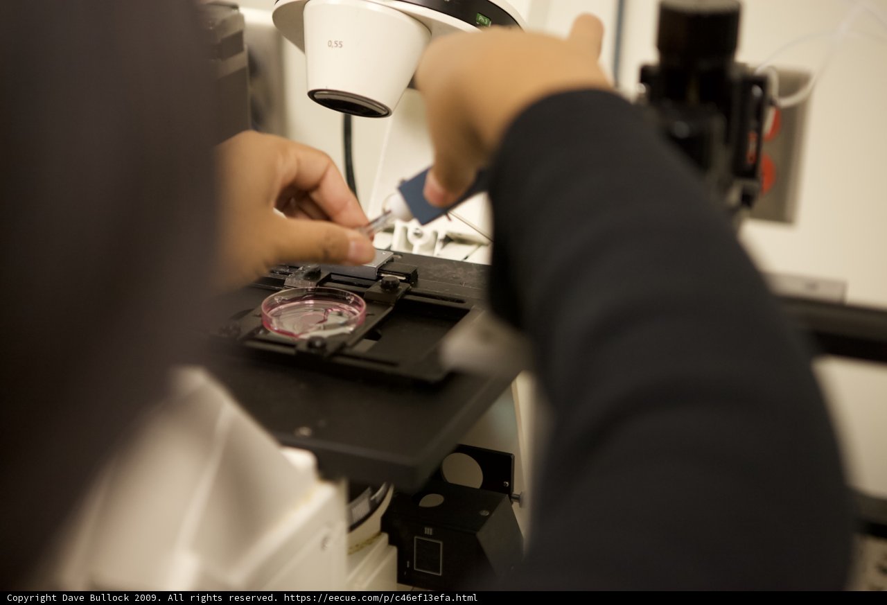 Lab Work: Searching for a Memory Solution