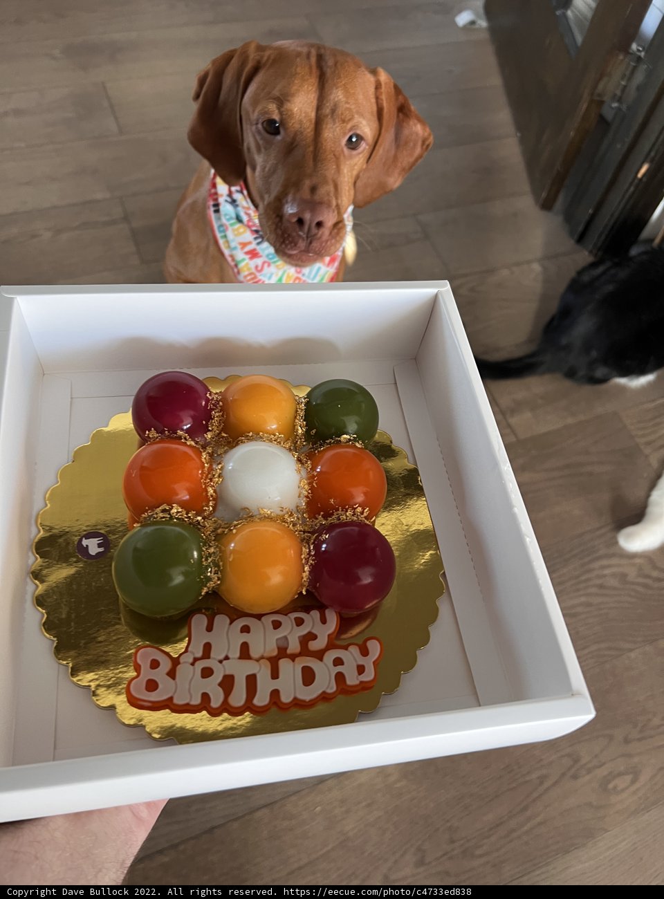 Temptation on a Plate