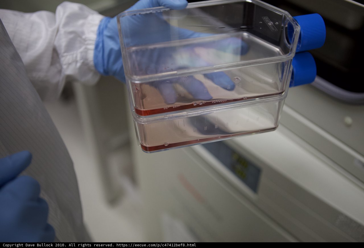 Innovative Research: Exploring the Red Solution