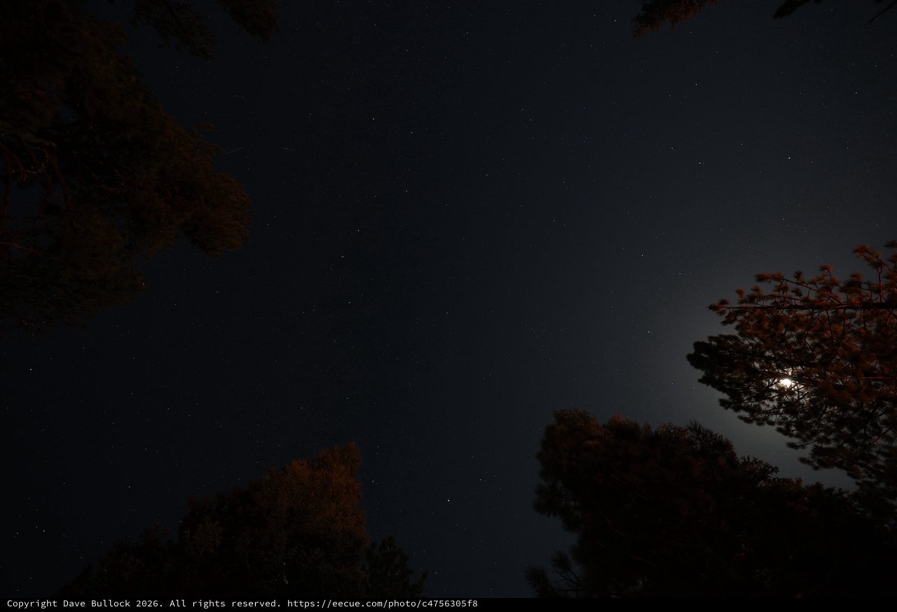 Moonlit Starry Night Over Lassen's Volcanic Forest