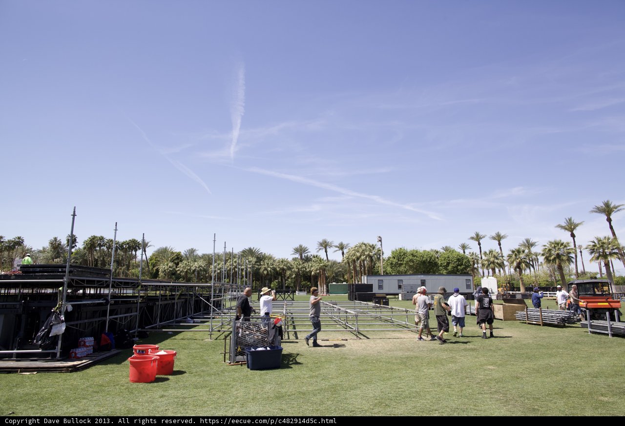 Field of Summer Fun