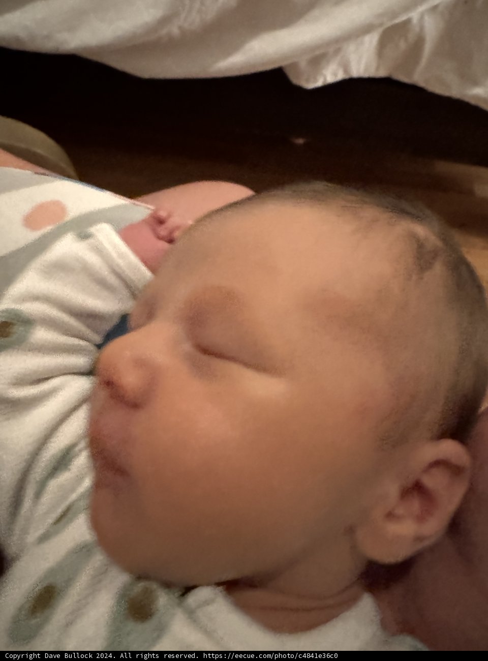 Sweet Slumber