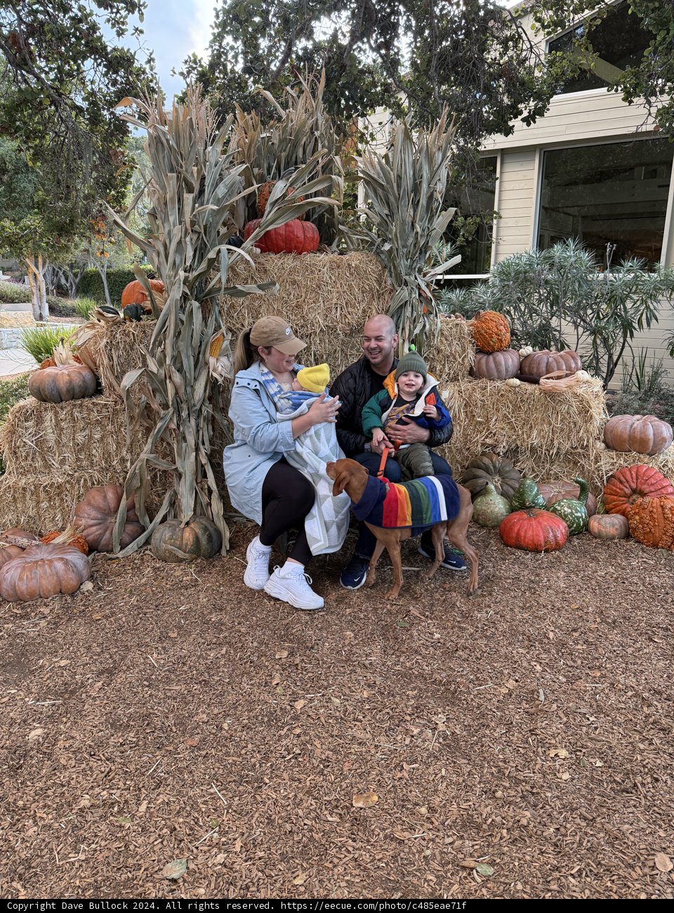 Autumn Gatherings in Carmel