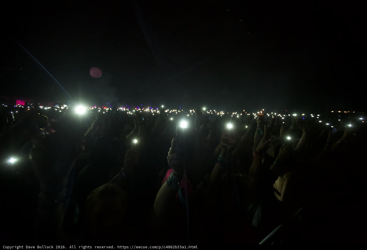Lit Up in the Night