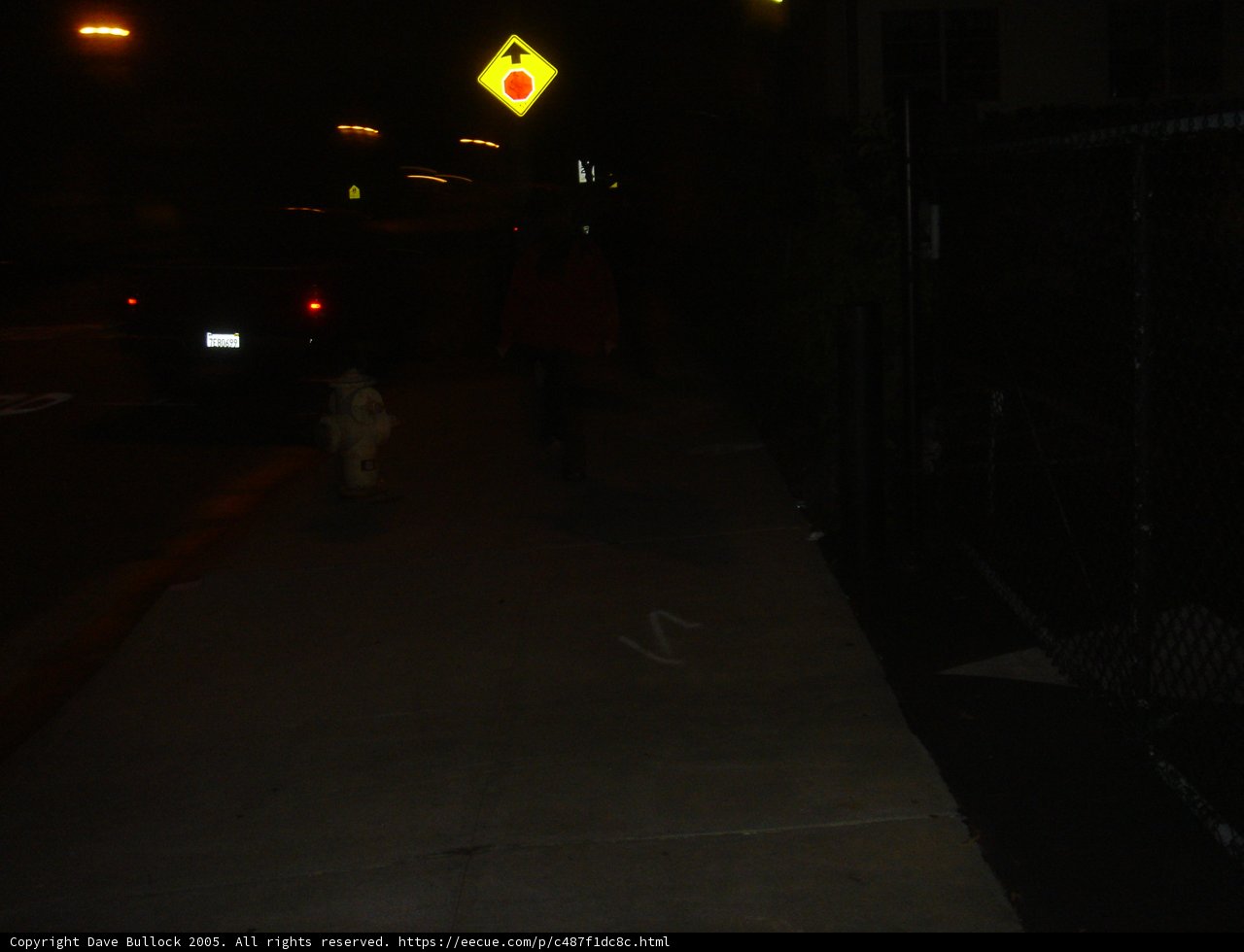 Night Strolls with Fido