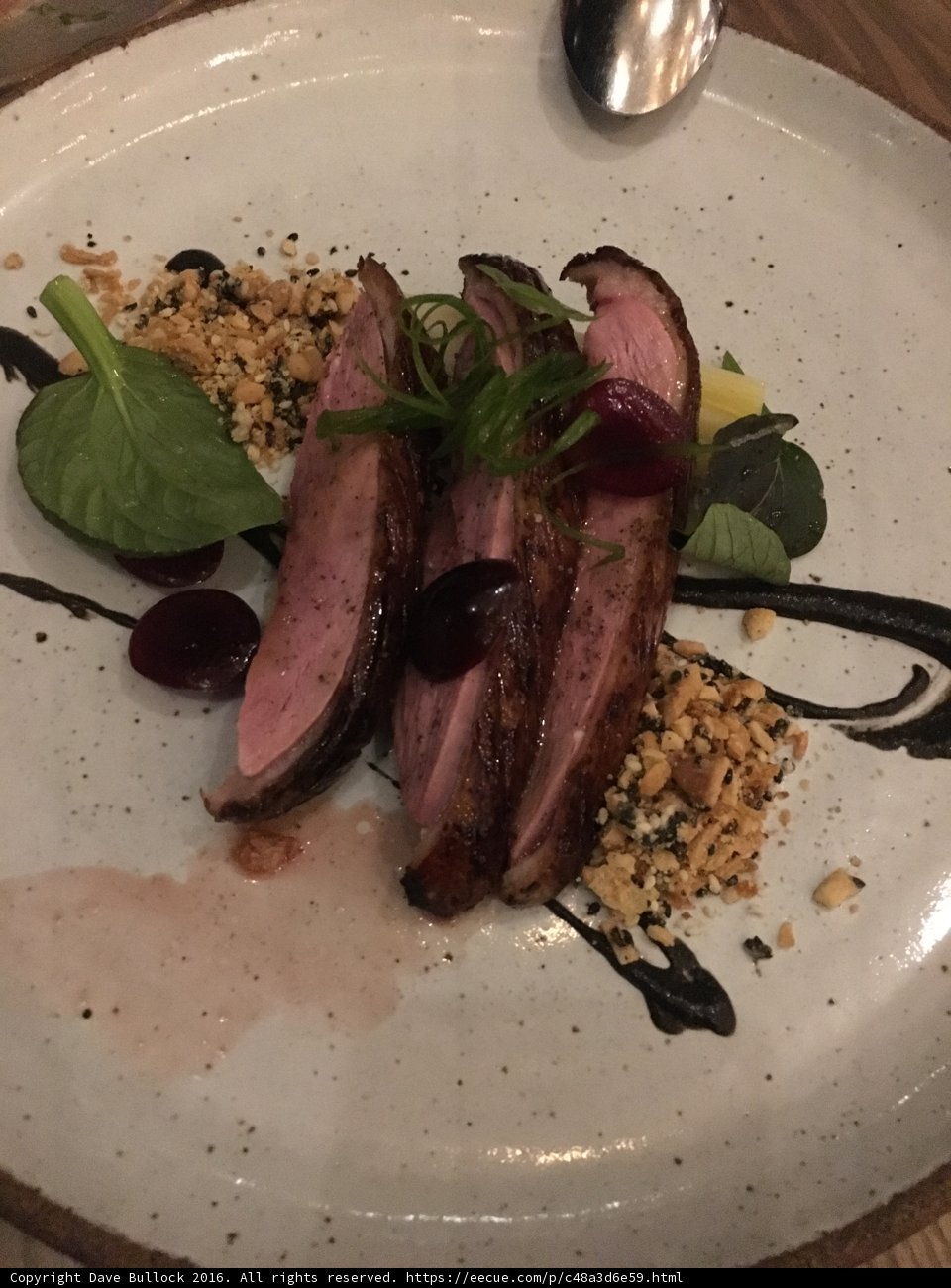 Duck Delight