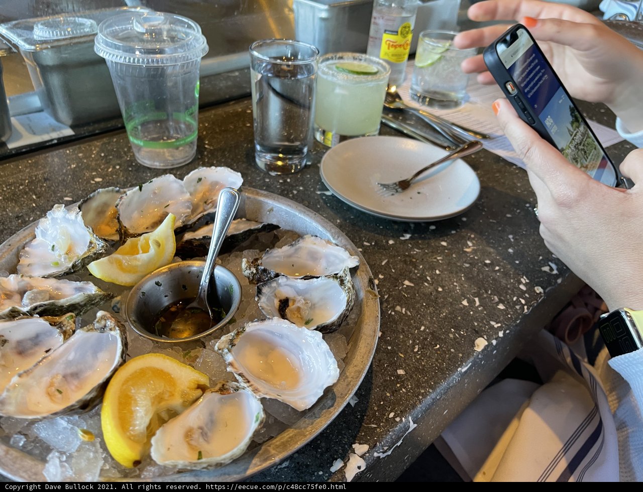 Oysters on a Plate