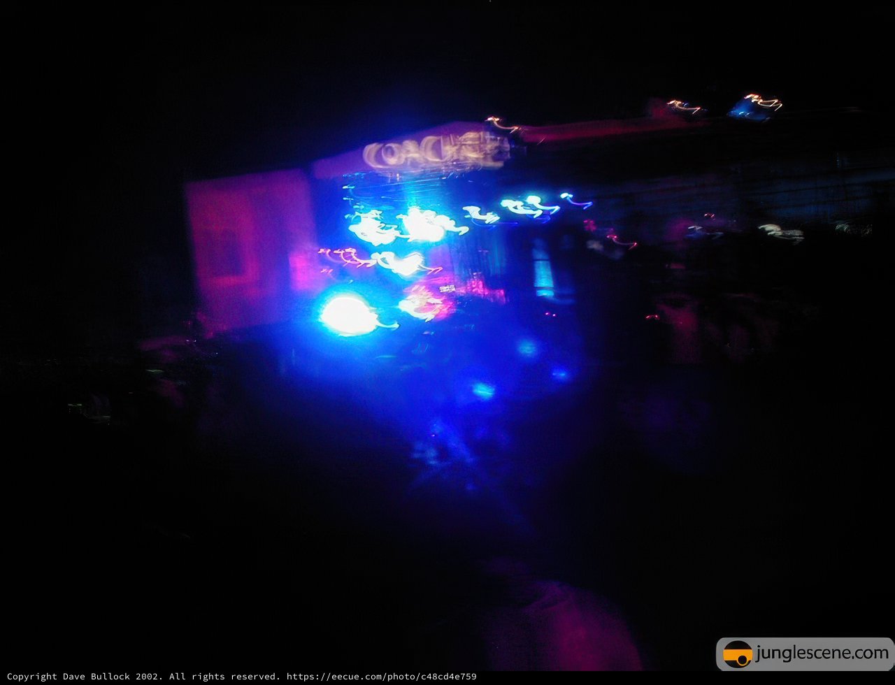 Nightclub Gathering