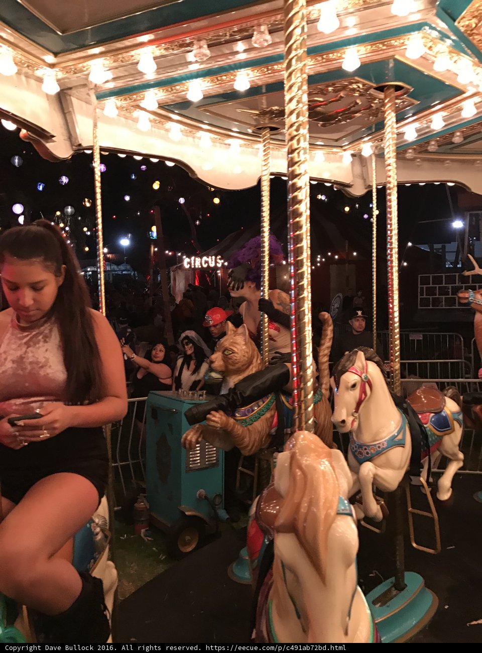 Nighttime Carousel Fun