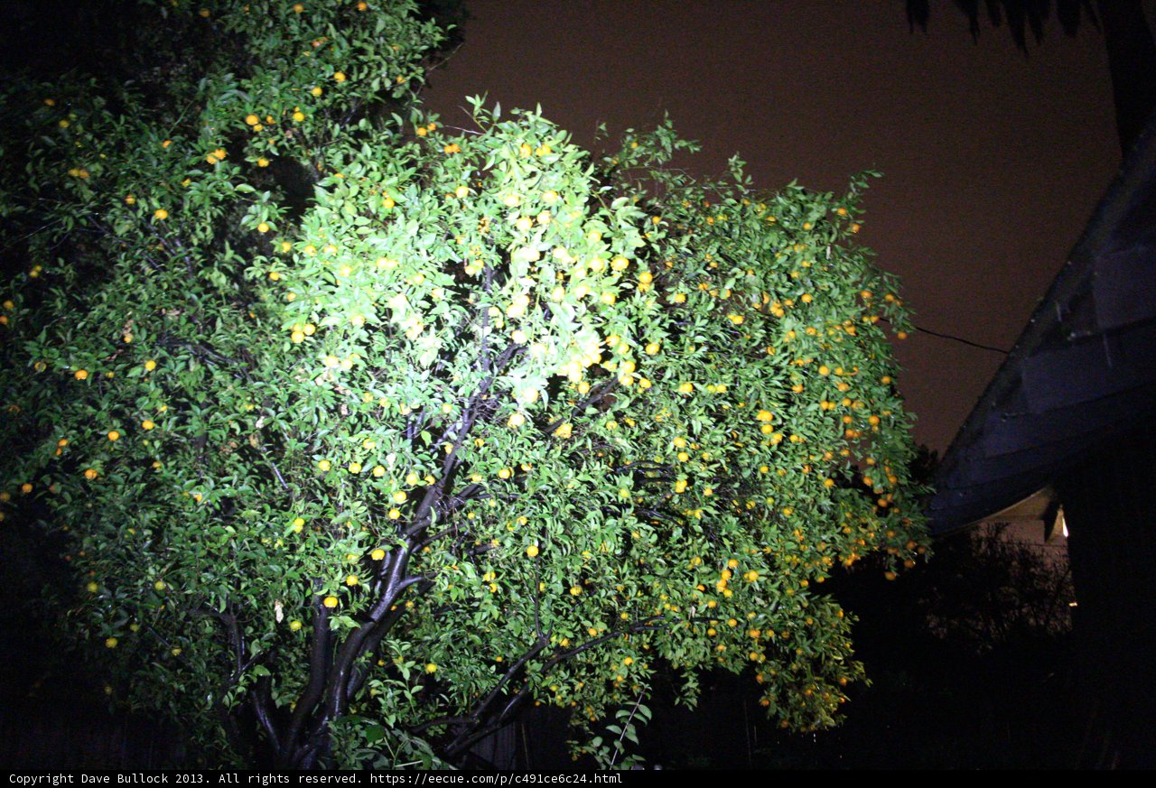 Orange Harvest Under the Night Sky