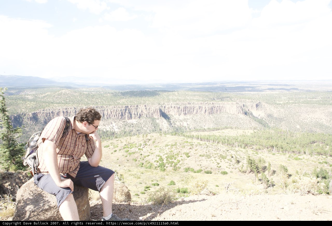 Man Contemplates the Wilderness