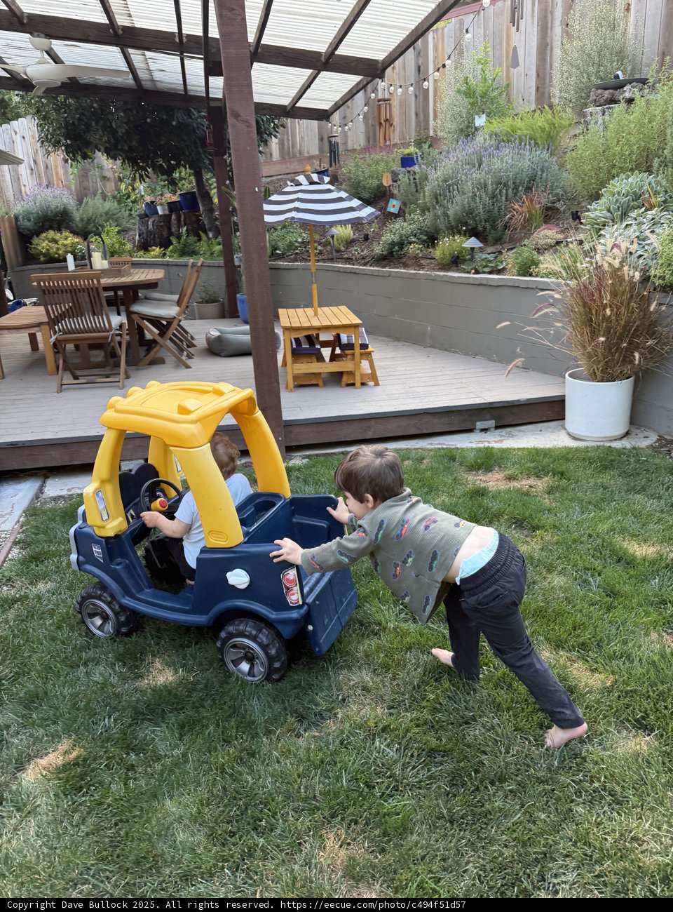 Backyard Adventures