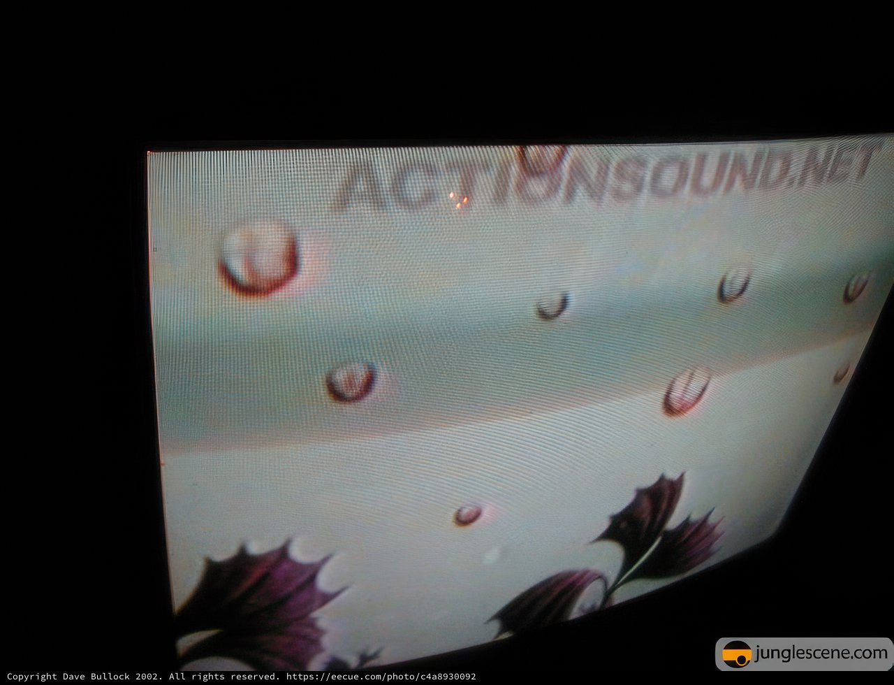 Water droplets on a monitor screen