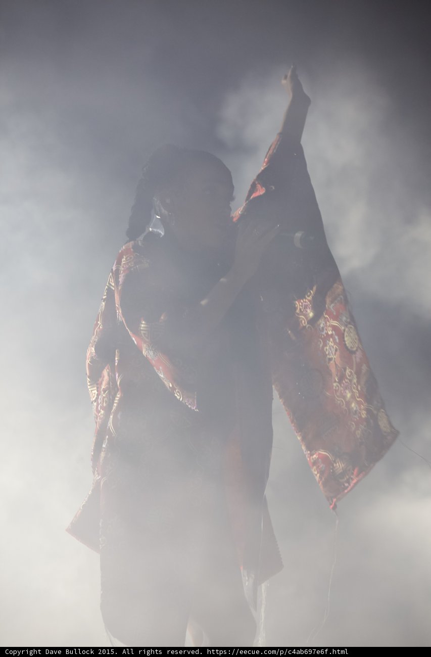 FKA twigs Dramatic Silhouette Arm Raised Finger Pointing Red Brocade Kimono Flowing Both Sides Braided Ponytails Heavy Haze