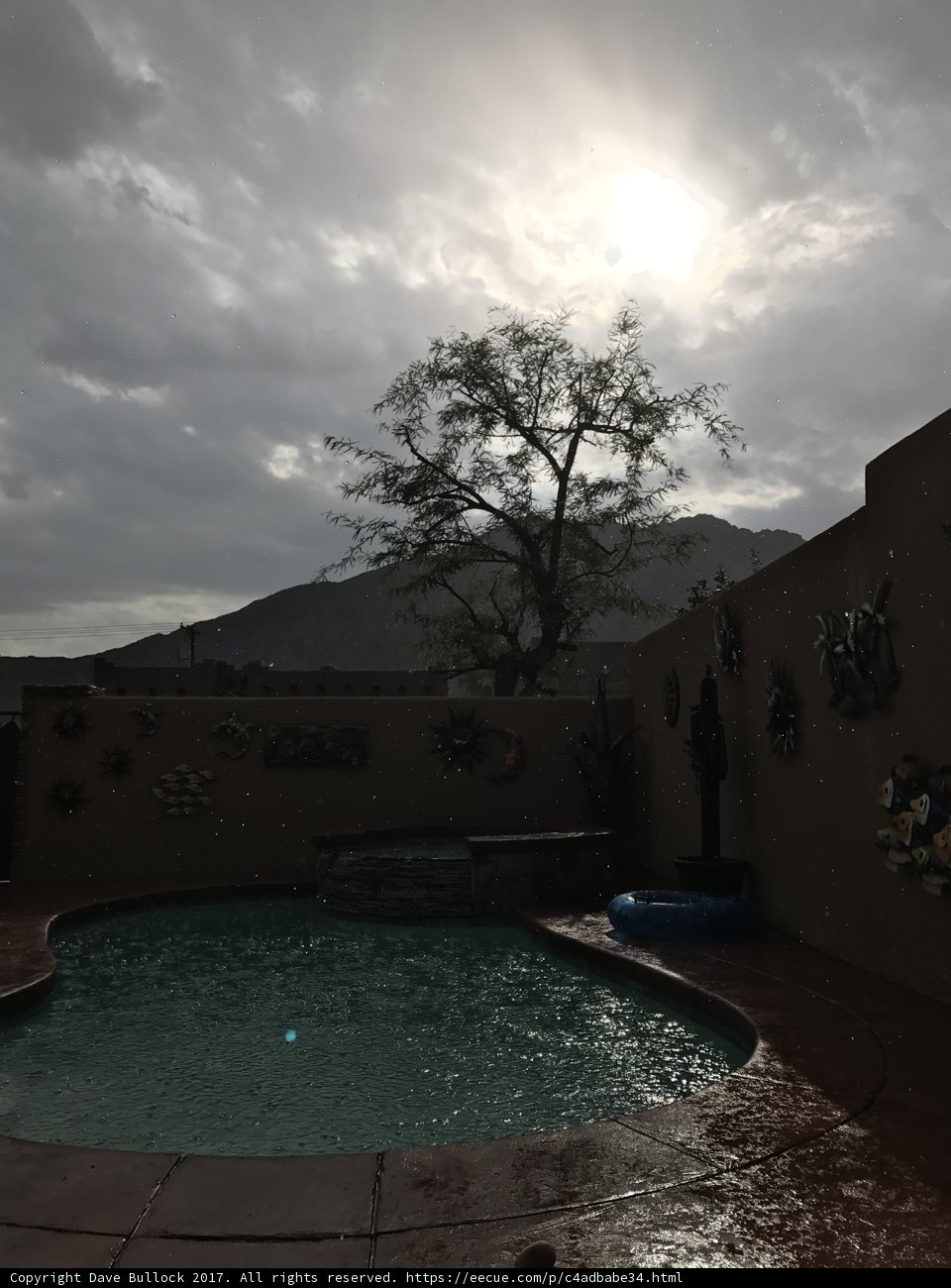 Oasis at the Resort