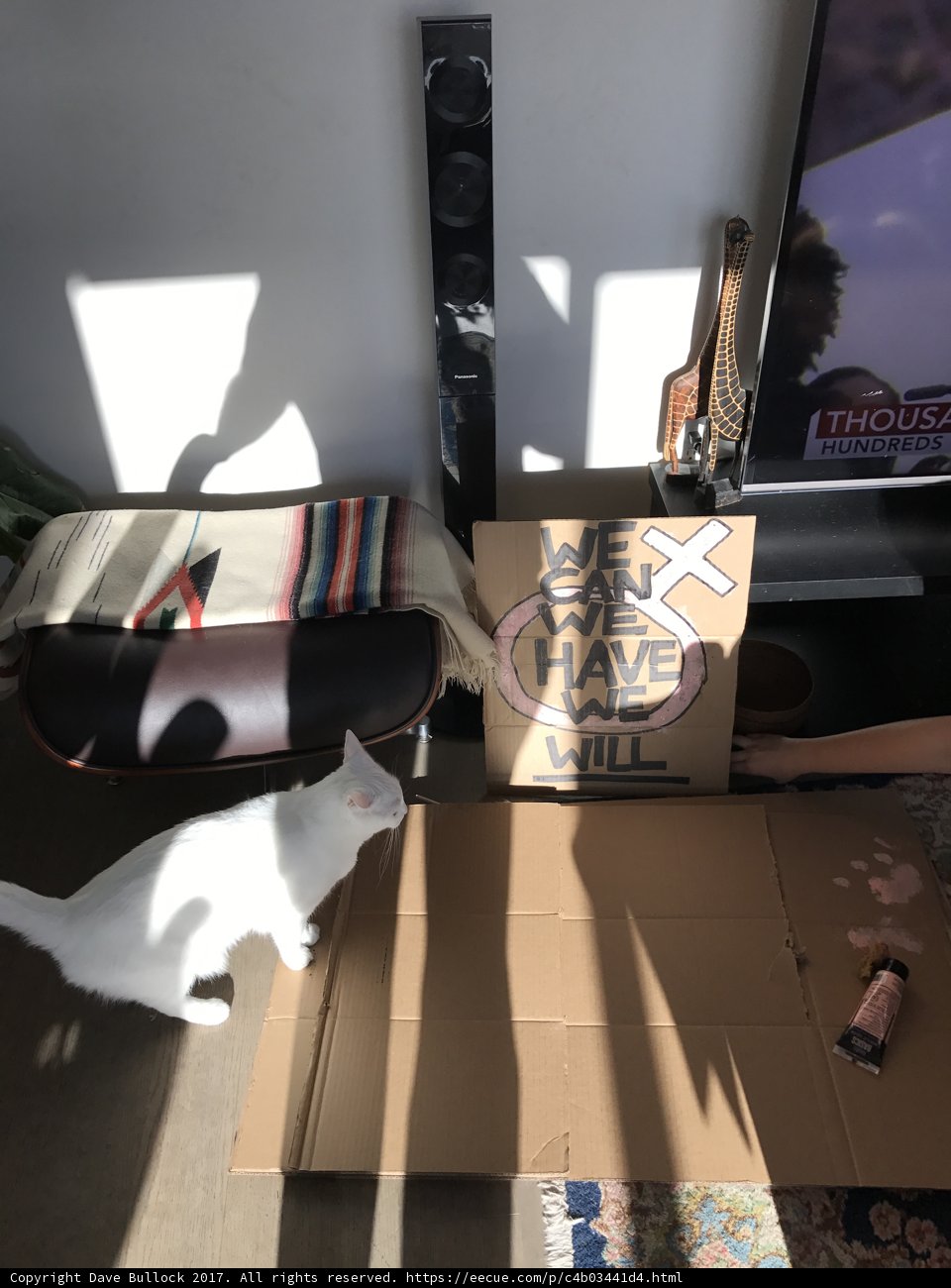 The White Cat and the TV Box