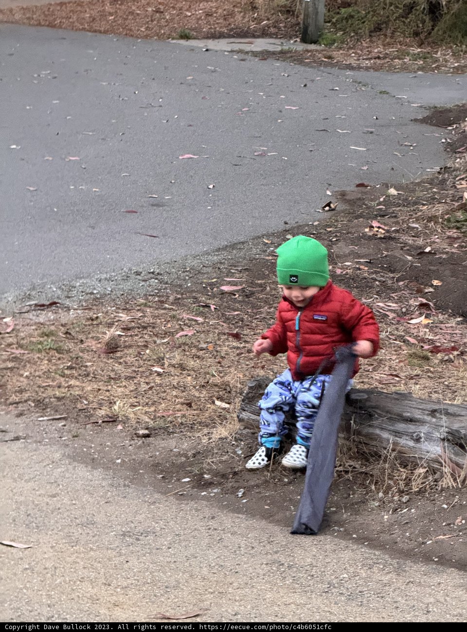 Little Explorer at Rest