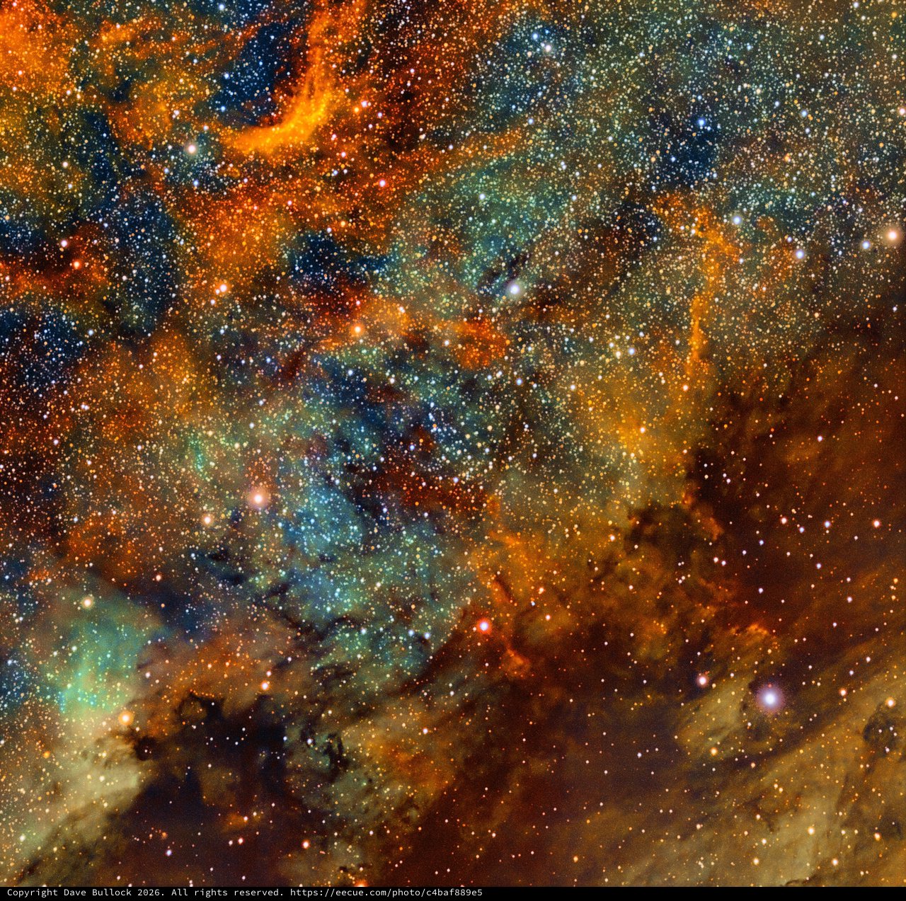NGC 6997 Open Cluster in Narrowband SHO Palette