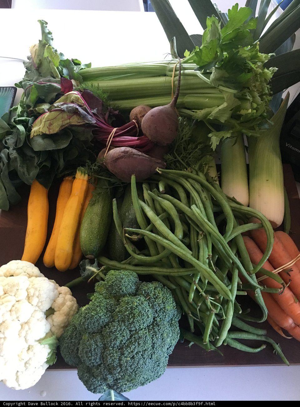 Fresh Harvest