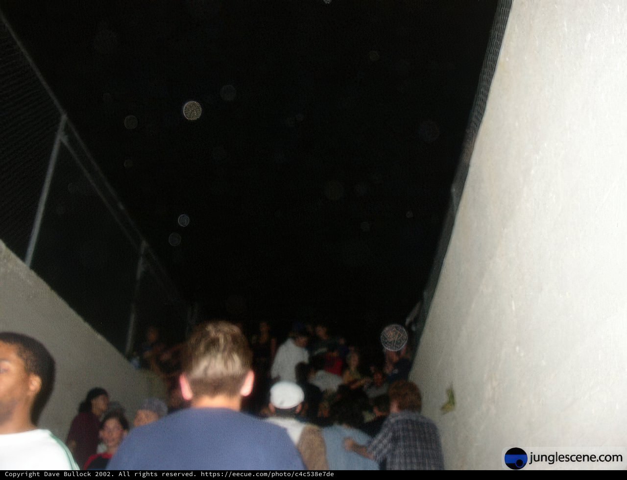 On the Wall at Night