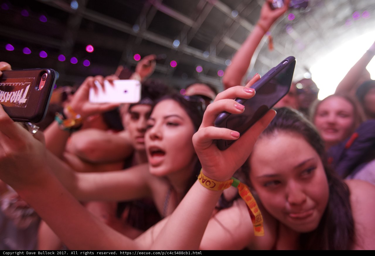 Snap Happy Crowd at Coachella