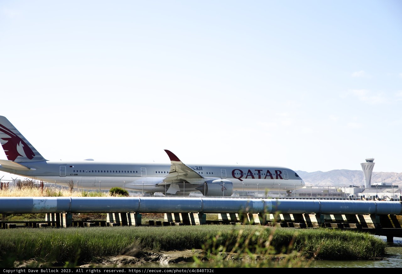 Graceful Giant: Qatar Airways Boeing 787-9 at Bayfront Park
