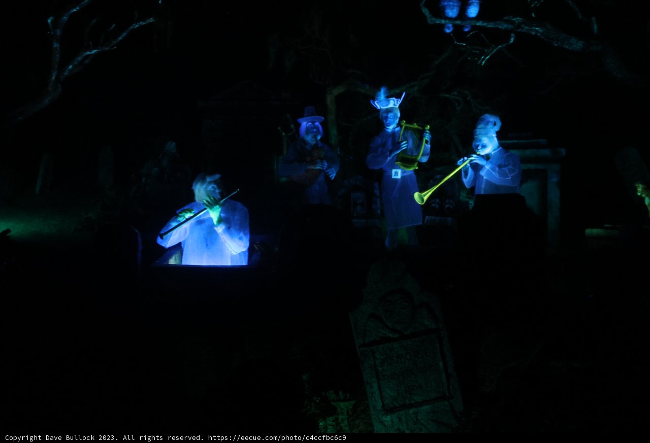 Halloween Concert at Disneyland Magic Kingdom