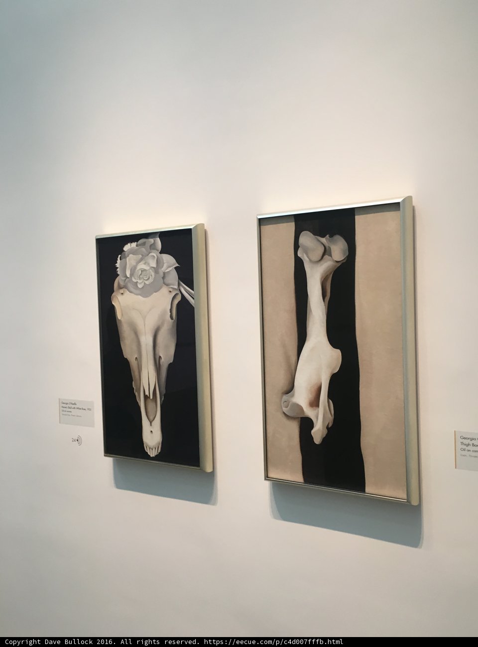 Dual Display of Modern Art