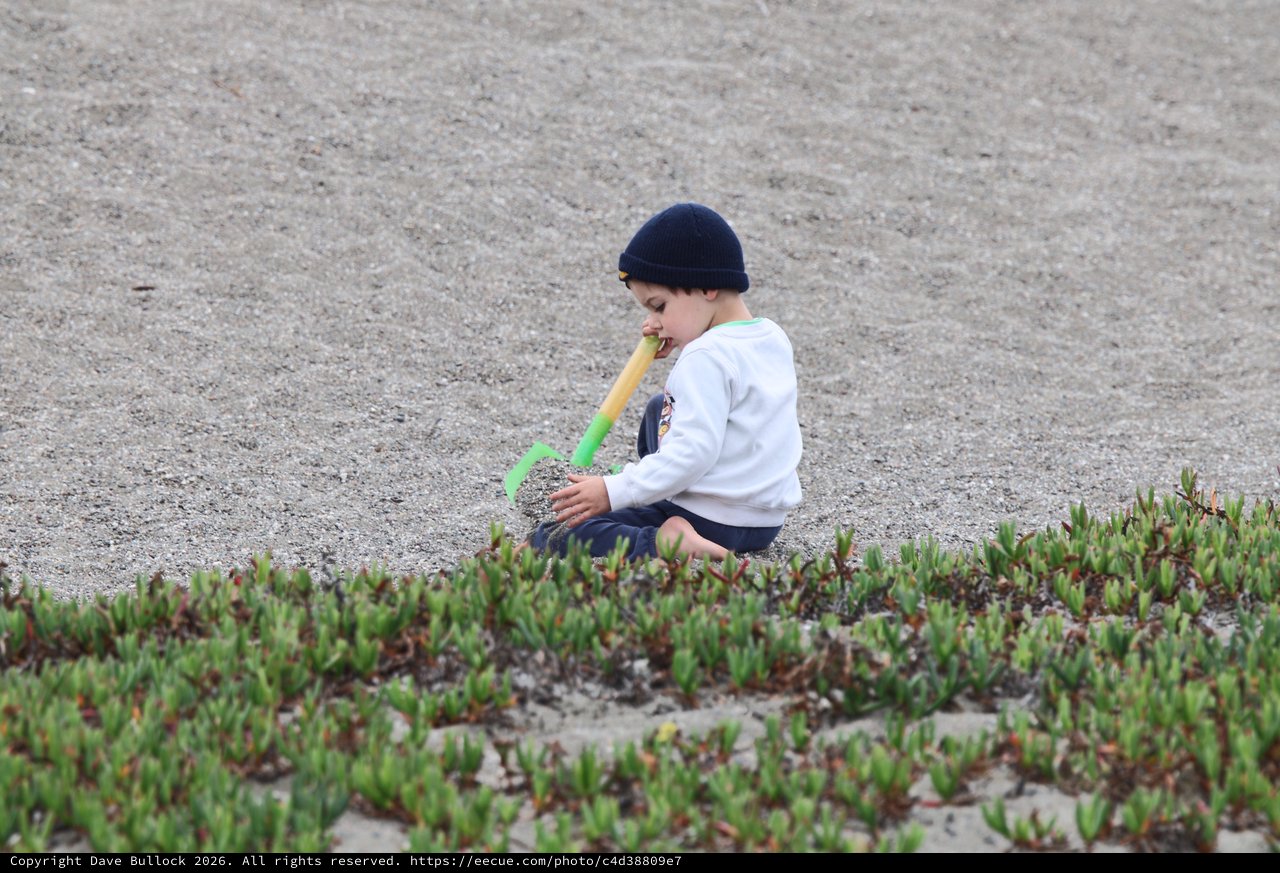 Young Child Playing Alone on Sandy Beach