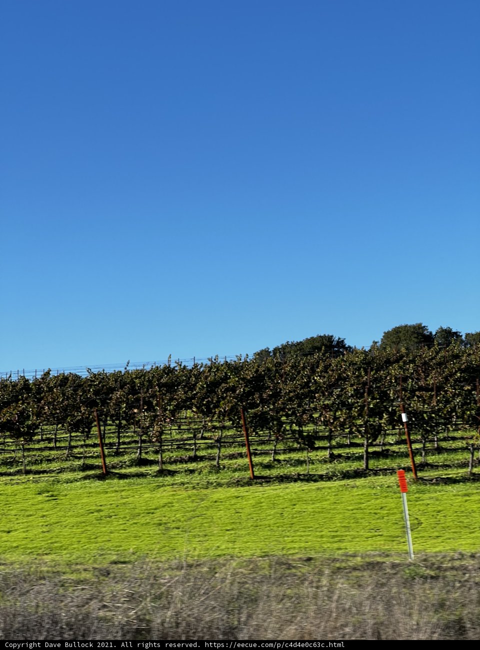 Stop and Admire the Countryside