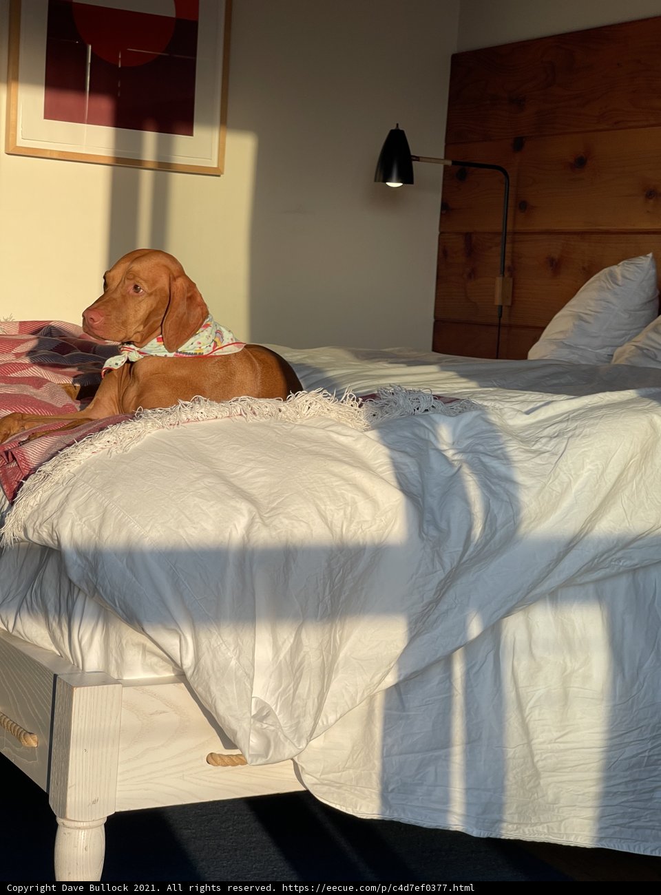 Resting with my Best Friend