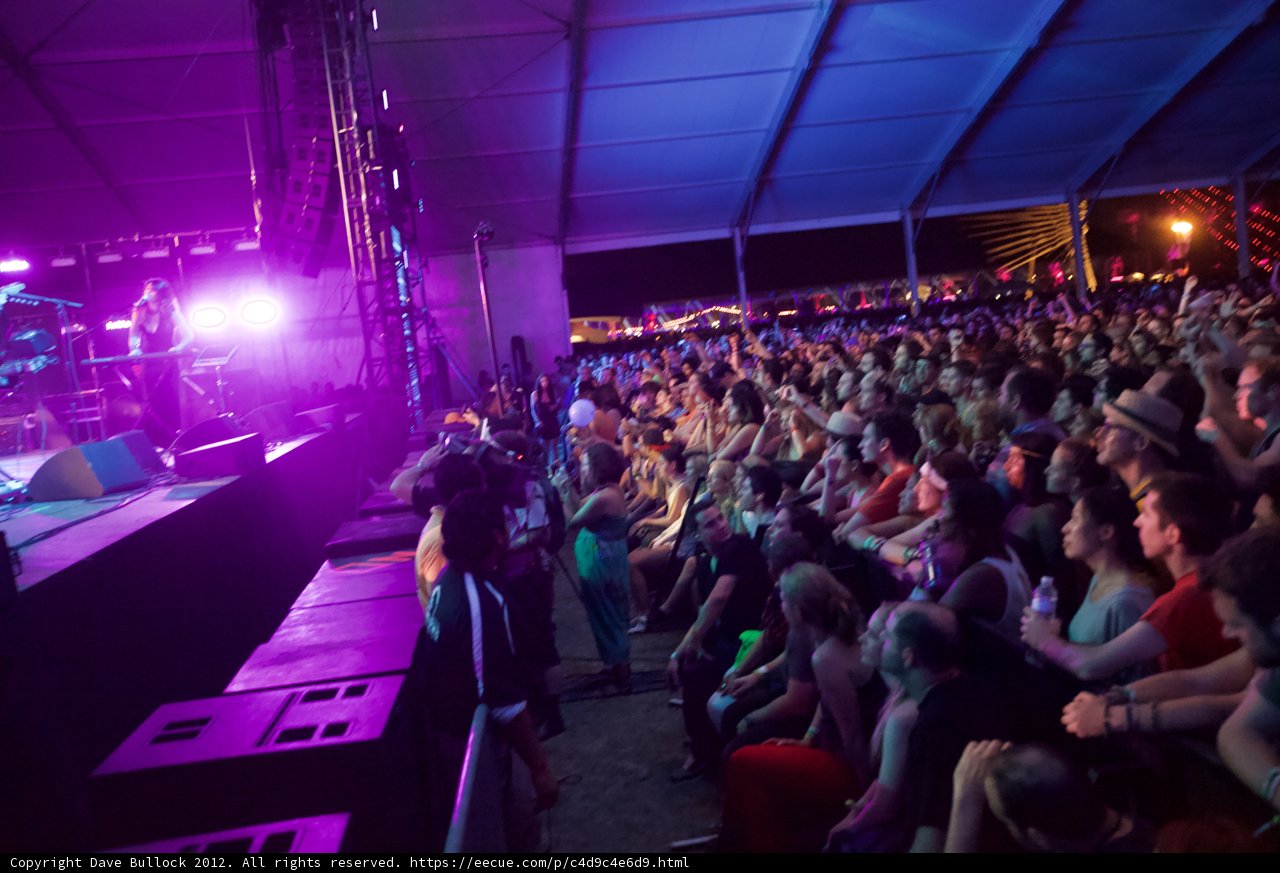 Purple Haze Concert Crowd