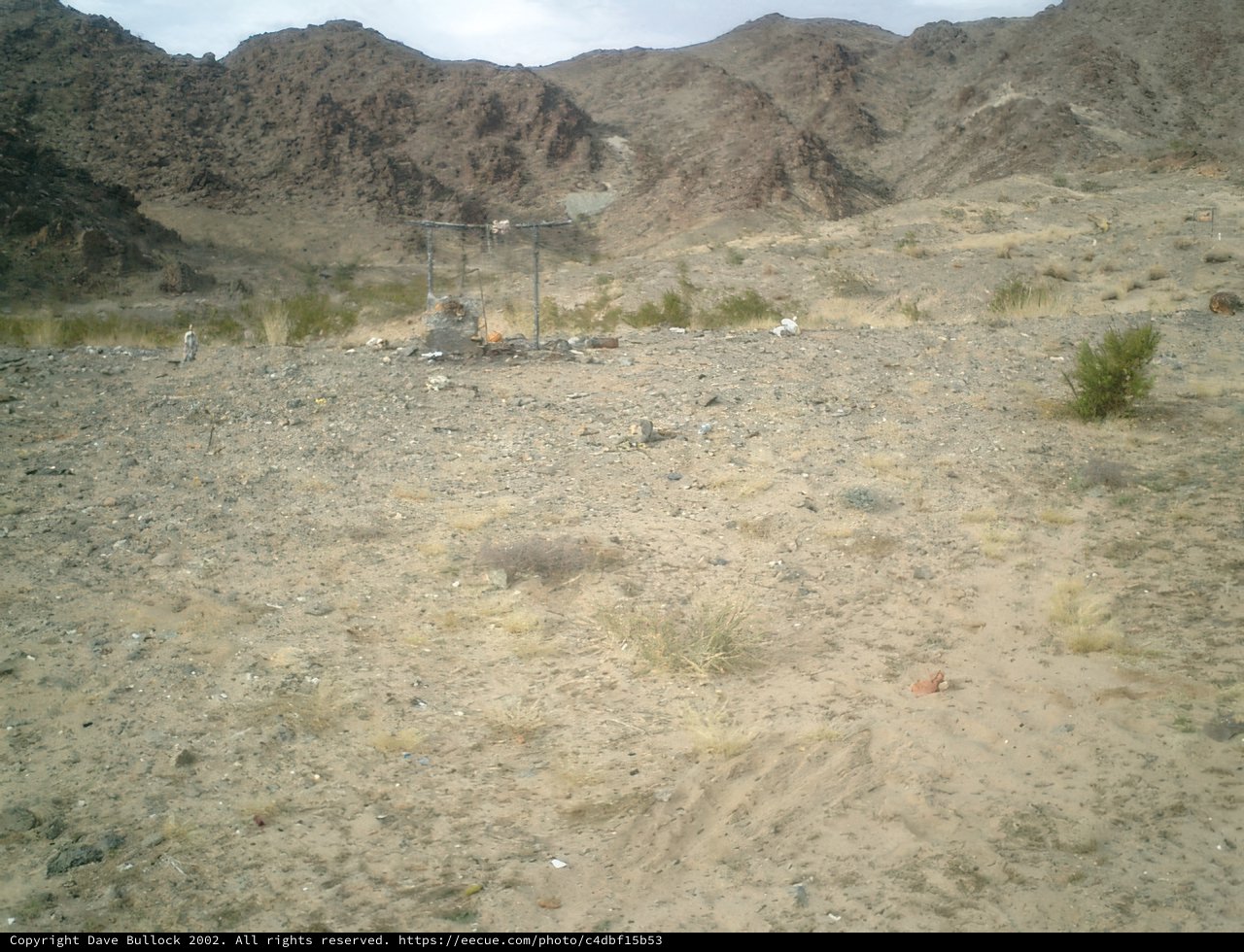 The Vast Wilderness of the Desert