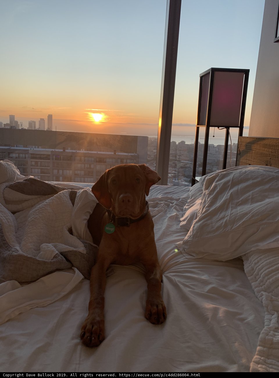 Relaxing with the Skyline