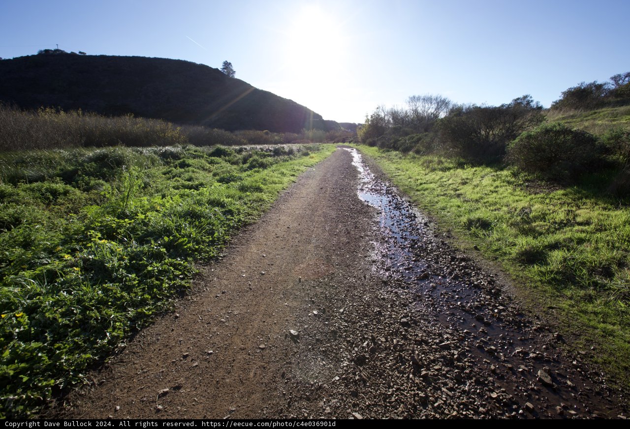 Tranquil Pathway: An Earthy Exploration