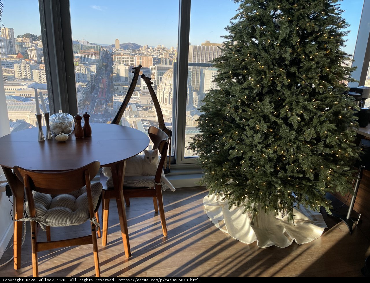 A Festive View of San Francisco