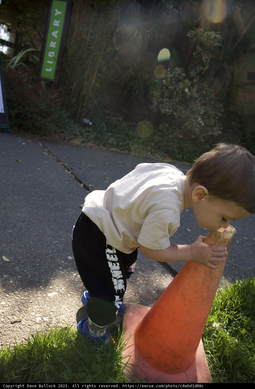 Unmasking the Scent of Curiosity