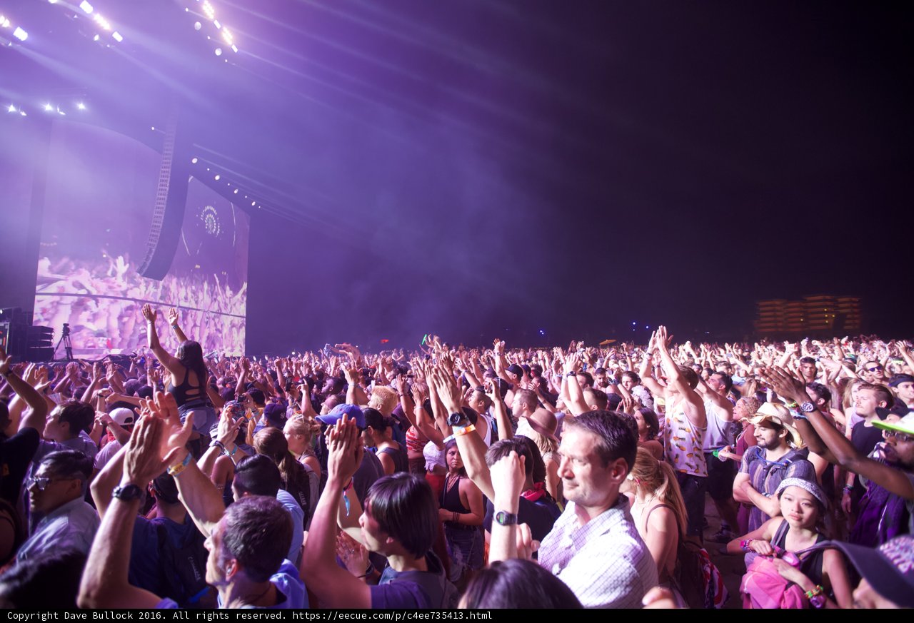 Electric Crowd at Coachella 2016