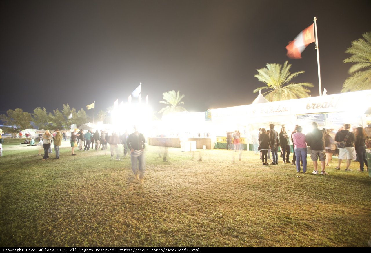 Nighttime Delights at the Food Festival