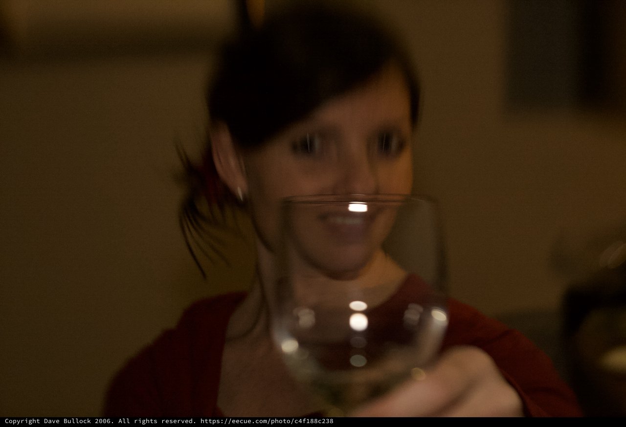 Woman Raising a Wine Glass in Dim Light