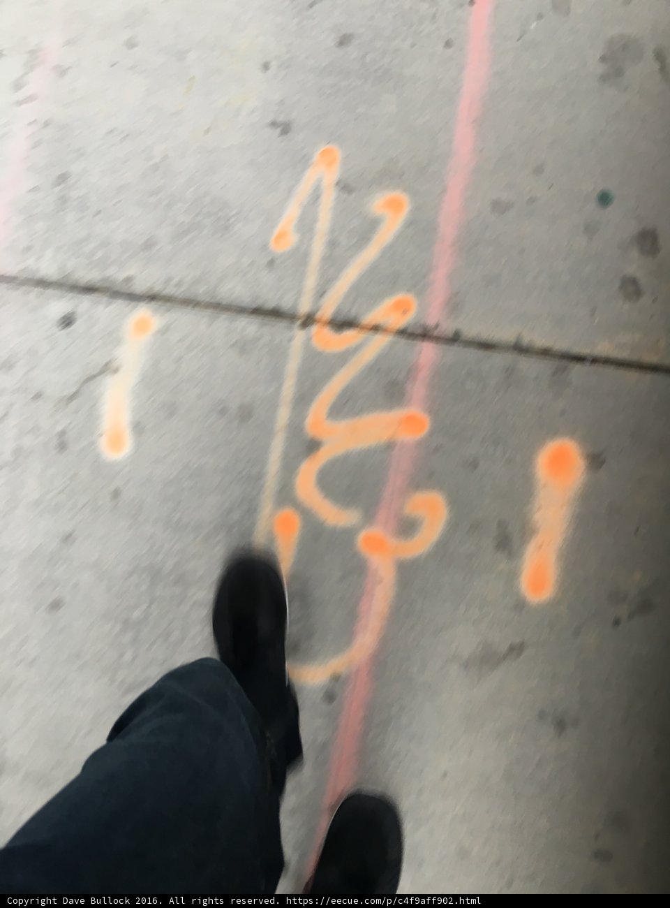Orange Pathway