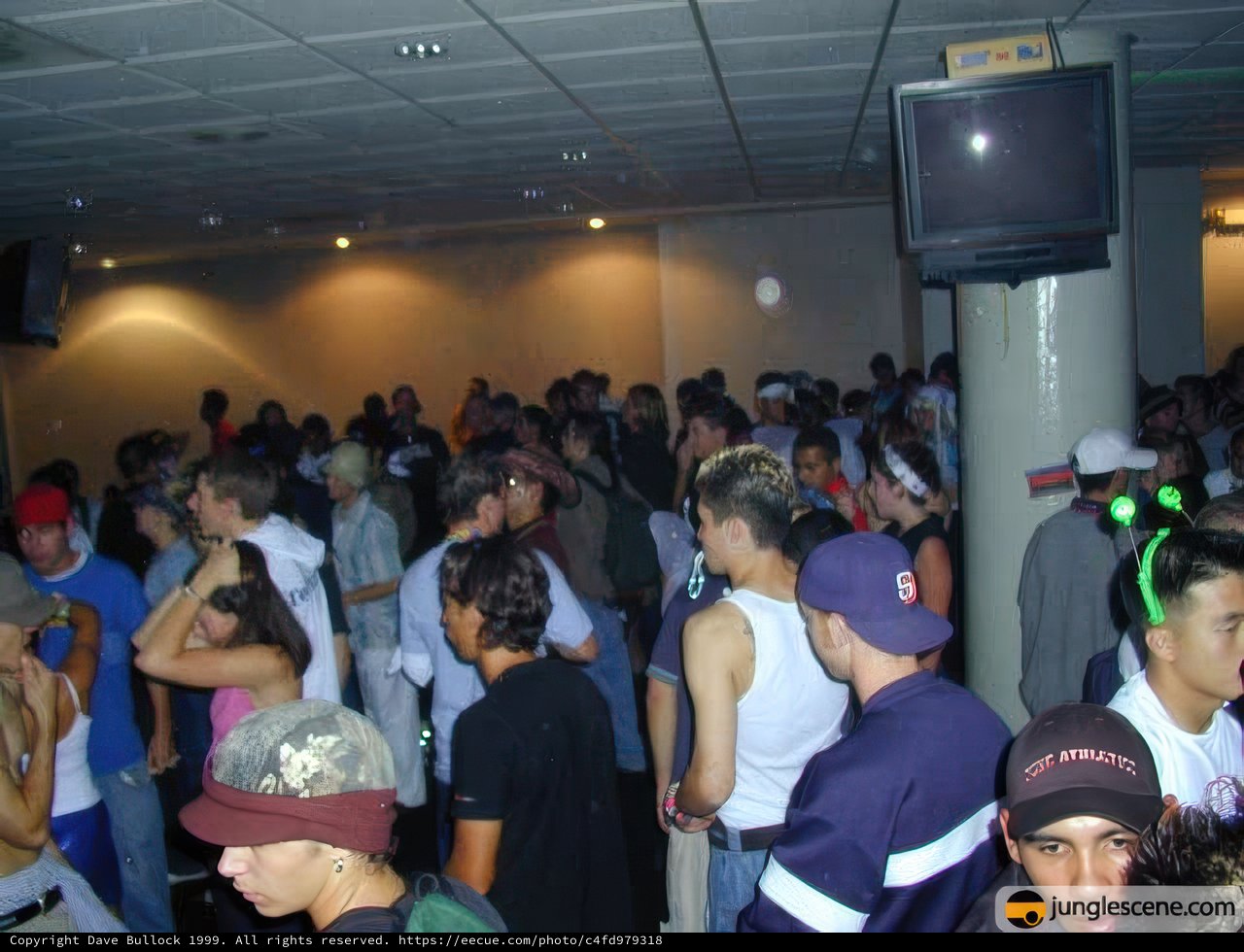 Nightclub Crowd Watching TV