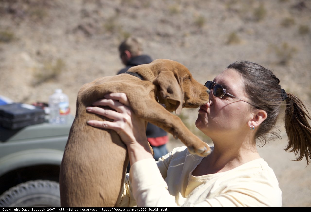 Woman and her faithful hound