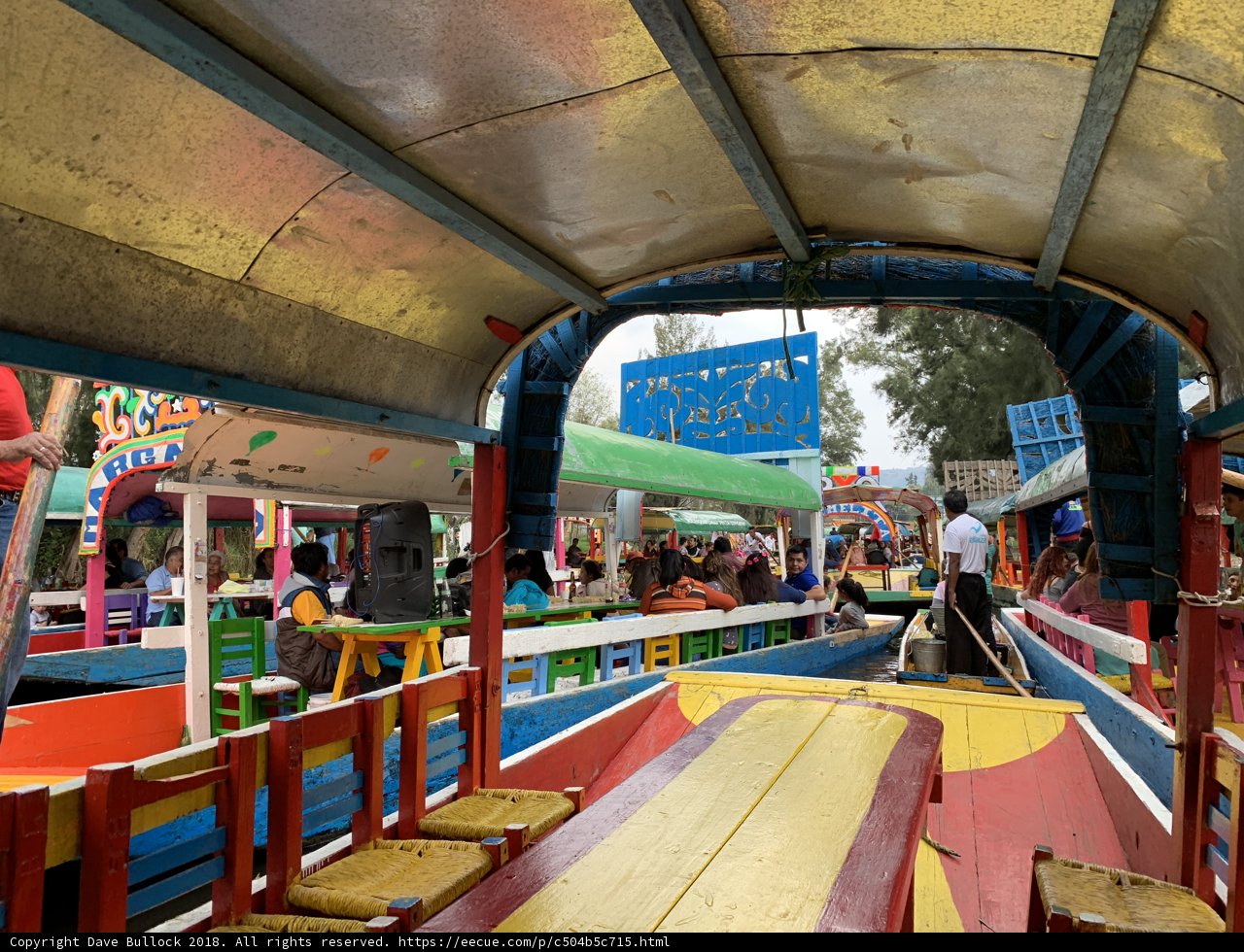 Vibrant Boat Ride